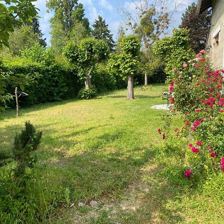 Studio Epicea Avec Jardin Dans Charmante Propriete Mery-sur-Oise Luaran gambar
